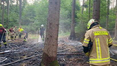 Bild: Feuerwehr Wolfsbach
Dank eines Luftbeobachters wurde der Waldbrand bei Wolfsbach schnell entdeckt und gelöscht.