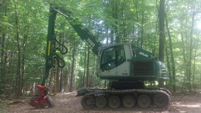 Bild: Raimund Pöllmann/Bayerische Staatsforsten/exb
Mit dem langen Arm und dem kombinierten Aggregat werden junge Waldflächen gepflegt, um die Vielfalt und Stabilität der Wälder zu erhöhen.
