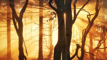 Bild: Kilian Schönberger
Oberpfalz-Impressionen von Kilian Schönberger