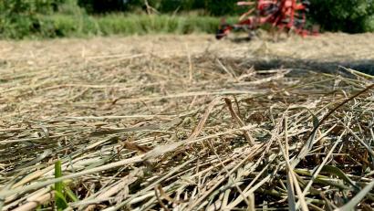 Bild: Gabi Schönberger
Zum Heuwenden und -einbringen ist eine lange Trockenperiode hilfreich, ansonsten stellen 35 Tage ohne Niederschlag Landwirte und Natur vor große Probleme.