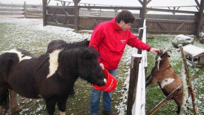 Archivbild: gz
Ponys und Ziegen finden bei Michael Meckl ein neues Zuhause.