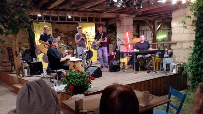 Bild: hev
Die Nabburger Band "Ollie und die Blinden" um den blinden Keyboarder Ollie Graf begeistert das Publikum im Taubnschusterhof in Eschenbach.