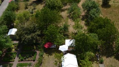 Archivbild: hcz
Der über 10.000 Quadratmeter große Garten aus der Luft betrachtet. Diesen Anblick können die Besucher auch beim Fest am kommenden Sonntag genießen – von einer Feuerwehrleiter aus.