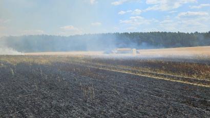 Bild: Kreisbrandinspektion Amberg-Sulzbach/exb
Auf einem Getreidefeld in Hiltersdorf kreisten die Feuerwehrkräfte am Sonntag die Brandfläche ein.