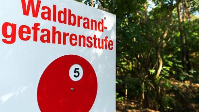 Archivbild: Monika Skolimowska/ZB/dpa
Die Waldbrandgefahr in der Region steigt in den kommenden Tagen.