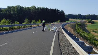 Bild: Polizeiinspektion Tirschenreuth
Die Schwäne mittels eines Astes von der Fahrbahn zu vertreiben, schlug fehl.