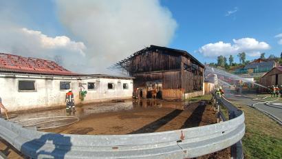 Bild: nic
Bei einem Brand in Geisleithen bei Plößberg sind auch Kühe ausgebüxt. Die Tiere waren nicht angebunden und konnten vom Stall direkt auf eine Freifläche neben der Straße laufen.