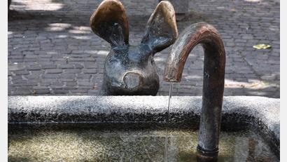 Bild: Stephan Huber
Der Schweinchenbrunnen am Viehmarkt in Amberg. Aus ihm läuft bestes Trinkwasser.