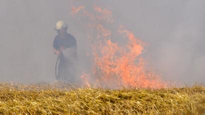 Symbolbild: Klaus-Dietmar Gabbert
Ein Feldbrand bedroht im Landkreis Lichtenfels ein Wohngebiet.