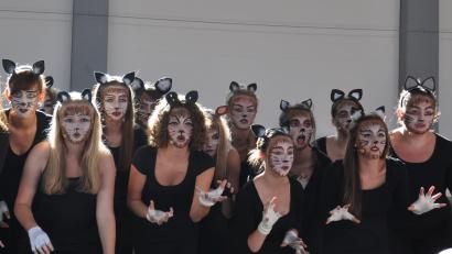 Bild: Bergler/exb
Der Broadway lässt grüßen. Die "Voices" zeigen Krallen bei einer "Cats"-Choreografie, die sie 2015 einstudiert hatten.