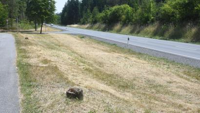 Bild: Gabi Schönberger
Zwischen der B 470 und dem Radweg stehen etliche Stümpfe. Die Bäume spendeten gerade Radlern Schatten.