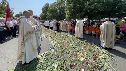 Bild: Maria Schlögl/exb
Den Weg zum Primiz-Gottesdienst schmücken viele fleißige Hände mit Blumen und Blüten.