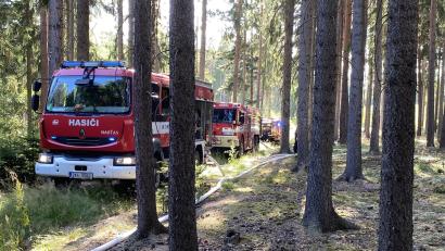 Bild: Feuerwehr Waldsassen/exb
Im Waldstück zwischen Grenzübergang und Asia-Markt geriet am Donnerstagnachmittag ein Waldstück in Brand. Einsatzkräfte der Feuerwehr Waldsassen rückten zur Unterstützung bei der Bekämpfung der Flammen mit aus.