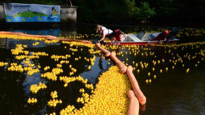 Bild: Kunz
Das Entenrennen auf dem Weidener Flutkanal 2023: In diesem Jahr schlüpften einige Enten sogar unter der Absperrung hindurch. Die Helfer mussten sie wieder einfangen.