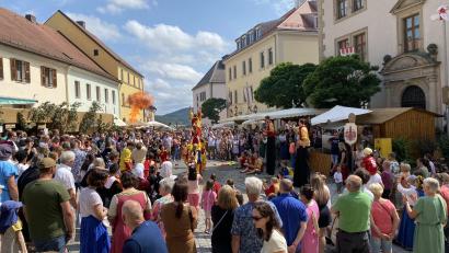Bild: aub
Die Gaukler des Dr. Eisenbarth, Oberviechtach, ziehen am Sonntag die Besucher in ihren Bann.