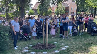 Bild: K. Tackmann/exb
Zu Ehren der Neugeborenen pflanzte die Stadt einen Maulbeerbaum am Torweiher.