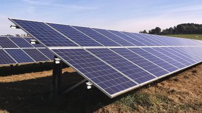Bild: Portner
Die DLB will eine Freiflächen-Photovoltaikanlage für den Eigenbedarf errichten.