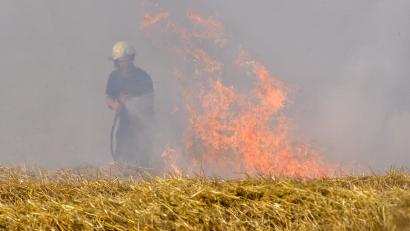 Symbolbild: Klaus-Dietmar Gabbert/dpa
Ein Feuerwehrmann löscht einen Feldbrand. Im Standortübungsplatz bei Amberg ist am Dienstag während einer Übung eine solche Freifläche in Brand geraten.