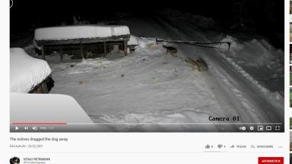 Bild: Youtube/VITALY PETRUKHIN
Angeblich soll das Video aus Tännesberg stammen. In Wirklichkeit kommt es aber aus Russland. screenshot: