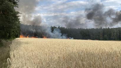 Bild: Kreisbrandinspektion Amberg-Sulzbach
Beim Eintreffen der Feuerwehr hatte der Feldbrand bereits auf den angrenzenden Wald übergegriffen.