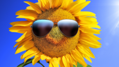 Bild: Thaut Images/Adobe Stock
Sommer, Sonne und viel Spaß mit Oberpfalz-Medien.