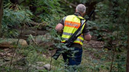 Bild: Fabian Sommer/dpa
Ein Gemeindejäger läuft im Bereich der südlichen Landesgrenze von Berlin durch einen Wald.