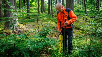Bild: Martin Hertel/exb
Forstwirt Thomas Daubner von den Bayerischen Staatsforsten sucht mit einem Metallsuchgerät einen mit Magneten markierten Inventurpunkt.