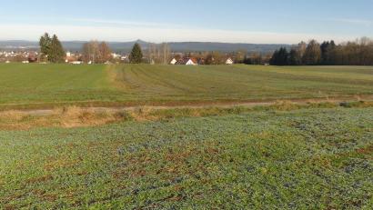 Archivbild: rn
Mit Blick auf den Rauhen Kulm sollen hier die neuen Bauparzellen in Eschenbach entstehen.