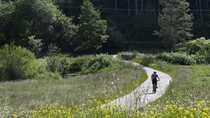 Bild: Petra Hartl
Ruhe, Genuss, Natur: Der Lauterachweg bietet alles.