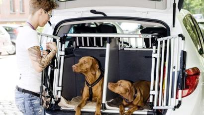 Symbolbild:  Monique Wüstenhagen/dpa
Grundsätzlich sollten Besitzer eines Hundes das Tier bei sommerlichen Temperaturen nicht im Auto zurücklassen. Auch wenn es nur ein kurzer Einkauf ist, steigt die Hitze im Inneren des Fahrzeugs schnell an.