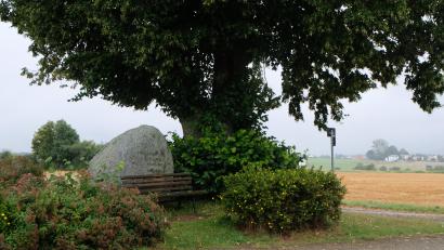 Bild: le
Der Münchhof bei Kalmreuth soll zusätzlich zur mächtigen Linde, dem Gedenkstein und einer Ruhebank ein Holzkreuz vom OWV bekommen.