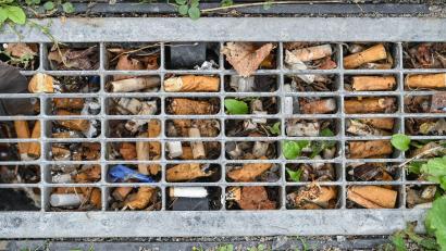 Bild: Patrick Pleul/dpa
Durchschnittlich drei Zigaretten pro Quadratmeter fanden Forscher vor einigen Jahren in Berlin - das Maximum waren 49 pro Quadratmeter.