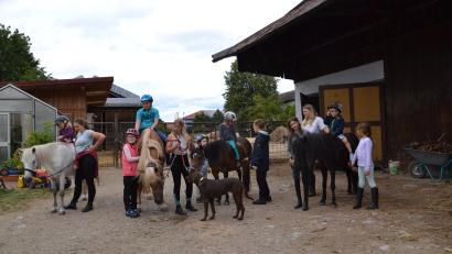Bild: gi
Viel Spaß macht es den Kindern, als Pony-Detektive das versteckte Futter für die Vierbeiner zu suchen.