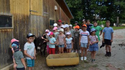 Bild: gi
Star bei der Aktion im Ferienprogramm auf dem Arche-Noah-Hof ist der Esel "Seppl". Er bekommt viele Streicheleinheiten von den Kindern.
