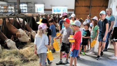 Bild: OGV Bechtsrieth/exb
Die Kinder genießen ihren Aufenthalt auf dem Zieglerhof.