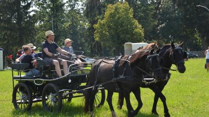 Bild: dob
Auf der Wiese unterhalb des Fußballplatzes war am Festtag "Mariä Himmelfahrt" mächtig was geboten. Viele Pferde und Ponys brachten die Pferdefreunde im Grenzland heuer für den Kinderferiennachmittag mit. Ob in der Kutsche oder auf dem Rücken der Pferde, hatten die Kinder viel Freude und Spaß.