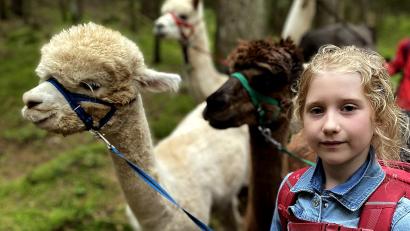 Bild: R. Kreuzer
Die Schirmitzer Kinder führen im Ferienprogramm Alpakas durch den Pirker Wald.