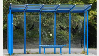 Bild: Wolfgang Steinbacher
Wegen kurzfristiger Krankheitsfälle kommt es zu Ausfällen im Citybusverkehr.