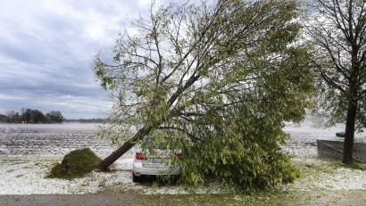 Bild: Karl-Josef Hildenbrand/dpa
Ein vom Sturm entwurzelter Baum liegt auf dem Parkplatz eines Seniorenheims auf einem Autodach.