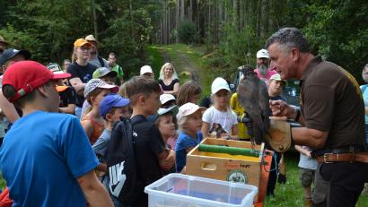 Bild: gi
Neugierig lauschen die Mädchen und Buben dem Falkner Eckhard Mikisch. Er erzählt den Kindern alles über seine Vögel.