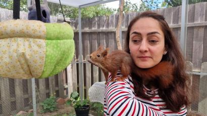 Bild: Fernando Martinez/TNN/dpa
Tierschützerin Mona Gahrib hat ein Eichhörnchen auf der Schulter.