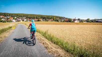 Bild: Thomas Kujat/Tourismuszentrum Oberpfälzer Wald
Radeln am Bayerisch-Böhmischen Freundschaftsweg, so geht nachhaltiger Urlaub. Wie beliebt ist diese Form des Reisens?