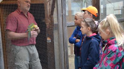Bild: gi
Die Ferienkinder erhalten einen Einblick in die Welt der besonderen Vögel von Josef Graf. Weiche Maiskörner liebt dieser junge Bergsittich besonders.