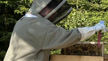 Bild: Reinald Roderer/exb
Neu-Imkerin Ramona Roderer kontrolliert die Bienenstöcke und nimmt die Rahmen mit den Waben aus dem Bienenstock. Die Imker im Verein sind heuer mit der Ausbeute in ihrem Bienenstock zufrieden.
