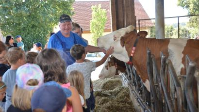 Bild: dob
Landwirt Manfred Bäumler führt die jungen Besucher durch den Stall und erklärt alles über Tierhaltung, Fütterung und Melken sowie die Lebensweise der Tiere, die sich gerne streicheln lassen.