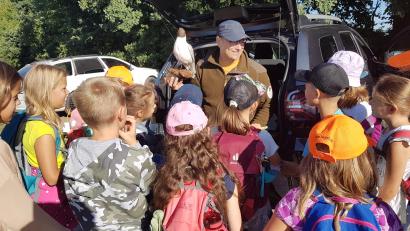 Bild: gi
Großes Interesse zeigten die Kinder zu den vom Naturpark-Ranger Heiko Hoffmann mitgebrachten Präparaten eines Kiebitz, des Großen Brachvogels, des Eisvogels bis zur Lachmöwe.