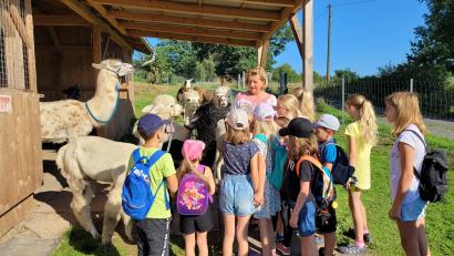 Bild: Werner Hahn/exb
Viel Freude bereitete zwölf Kindern eine Wanderung mit den Lamas und Alpakas von Berta Frank im Rahmen des Ferienprogramms.
