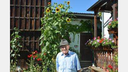 Bild: jr
Josef Scharf freut sich über die hochgewachsenen Sonnenblumen auf seinem Anwesen in Konnersreuth.