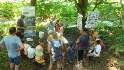 Bild: Bäumler/exb
Junge Forscher erkunden beim Ferienprogramm den Rötzerbach bei Neunburg vorm Wald.