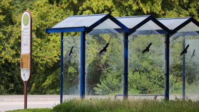 Symbolbild: Wolfgang Steinbacher
Einige Bushaltestellen in Amberg können bis Ende Dezember wegen einer Straßensperrung nicht bedient werden.